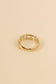 Scale silver ring